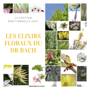 fleur de bach du mois