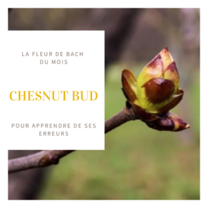fleur de bach